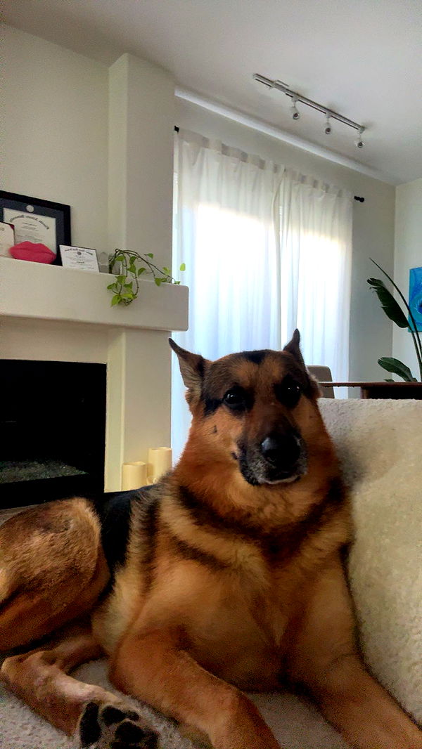 little.warren1 image ~ Altpins