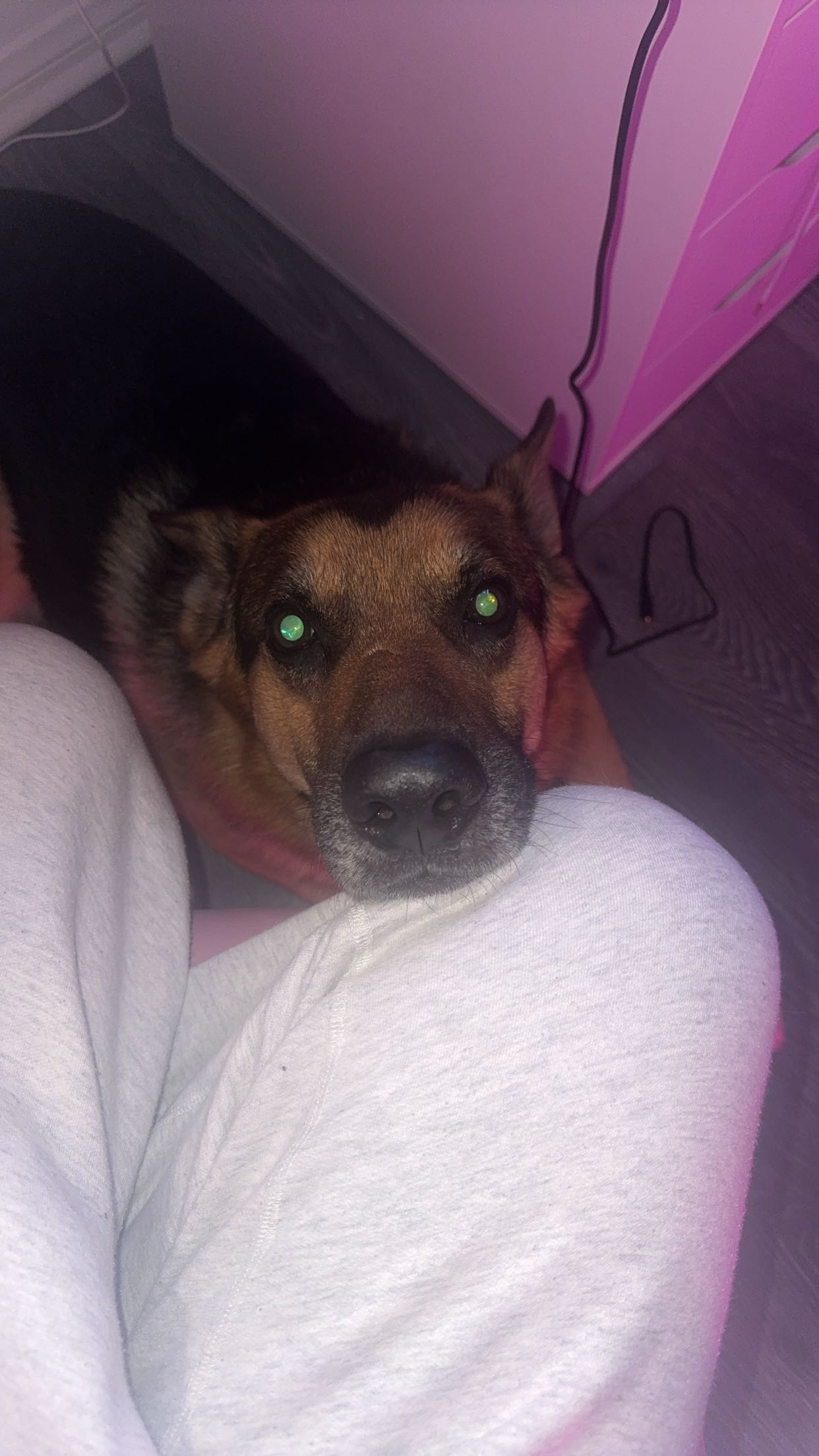 little.warren1 snapchat image archive image