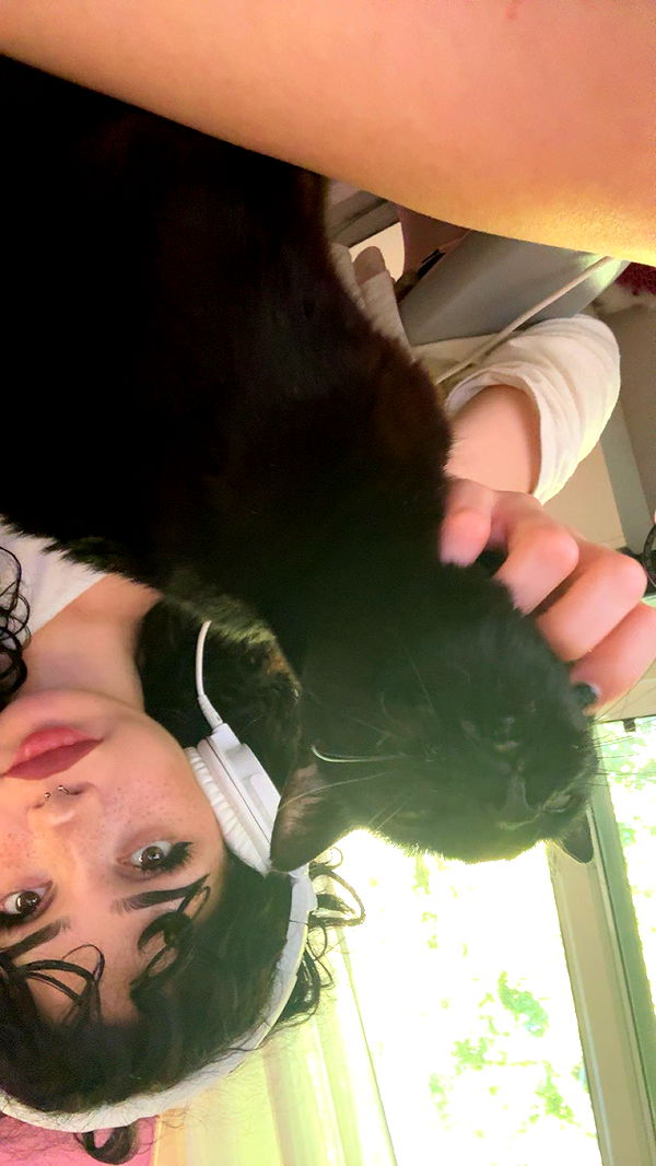 little.warren1 image ~ Altpins