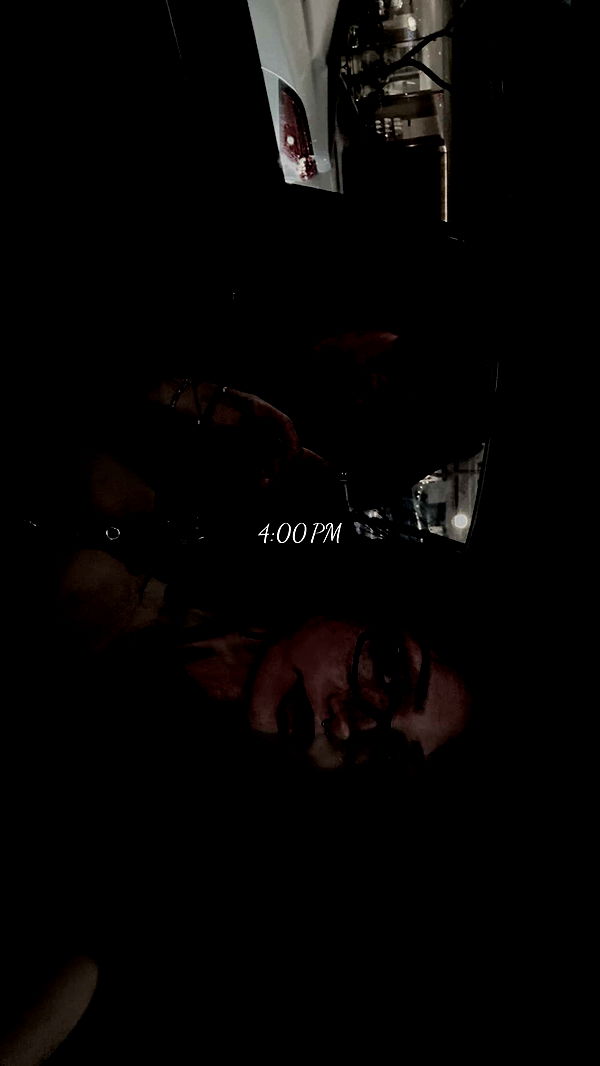 little.warren1 image ~ Altpins