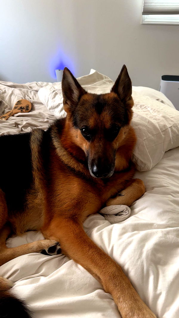 little.warren1 image ~ Altpins