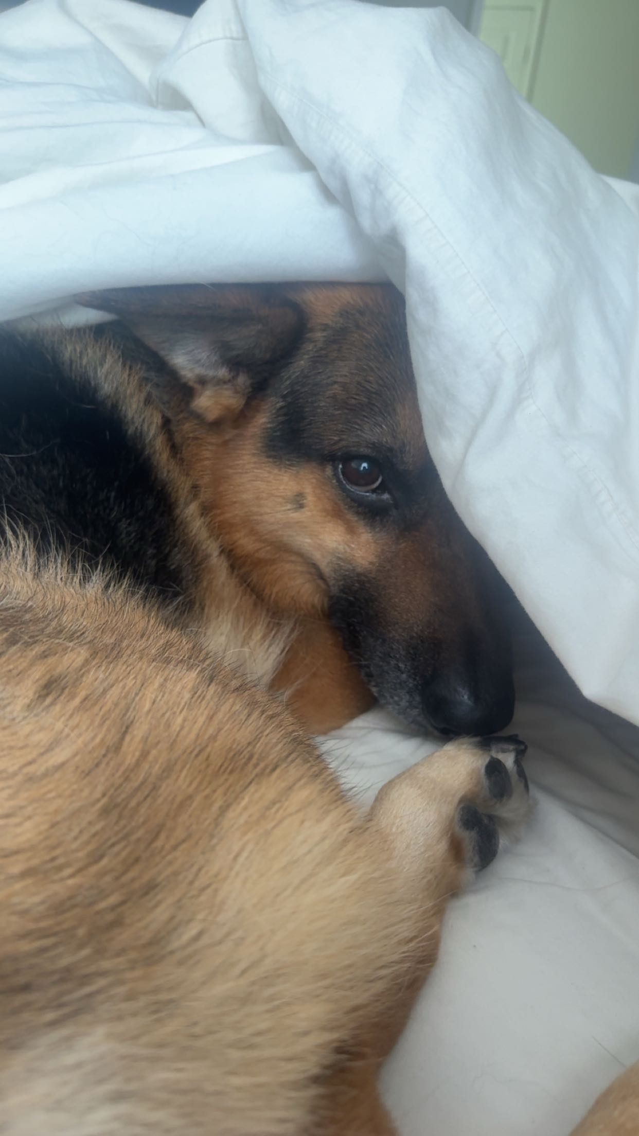 little.warren1 snapchat image archive image