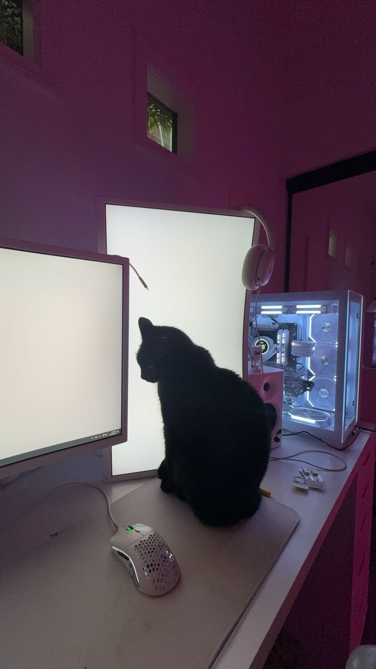 little.warren1 snapchat image archive image