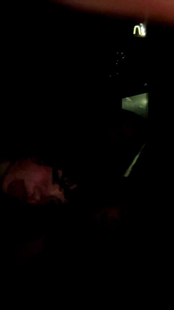 little.warren1 image ~ Altpins