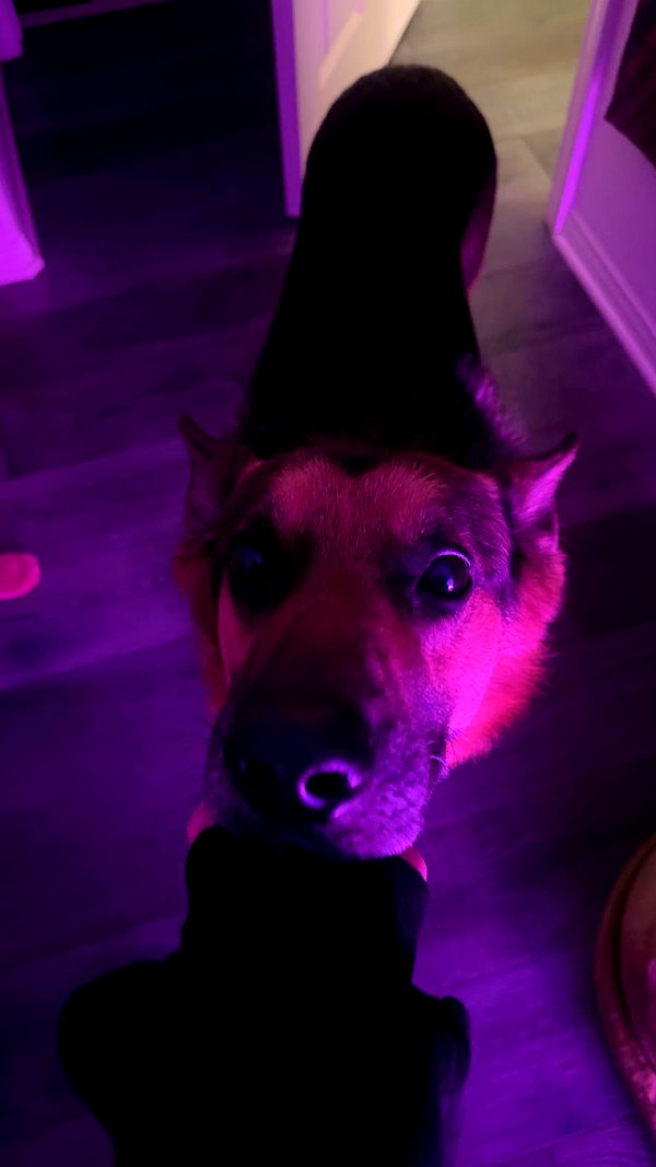 little.warren1 image ~ Altpins