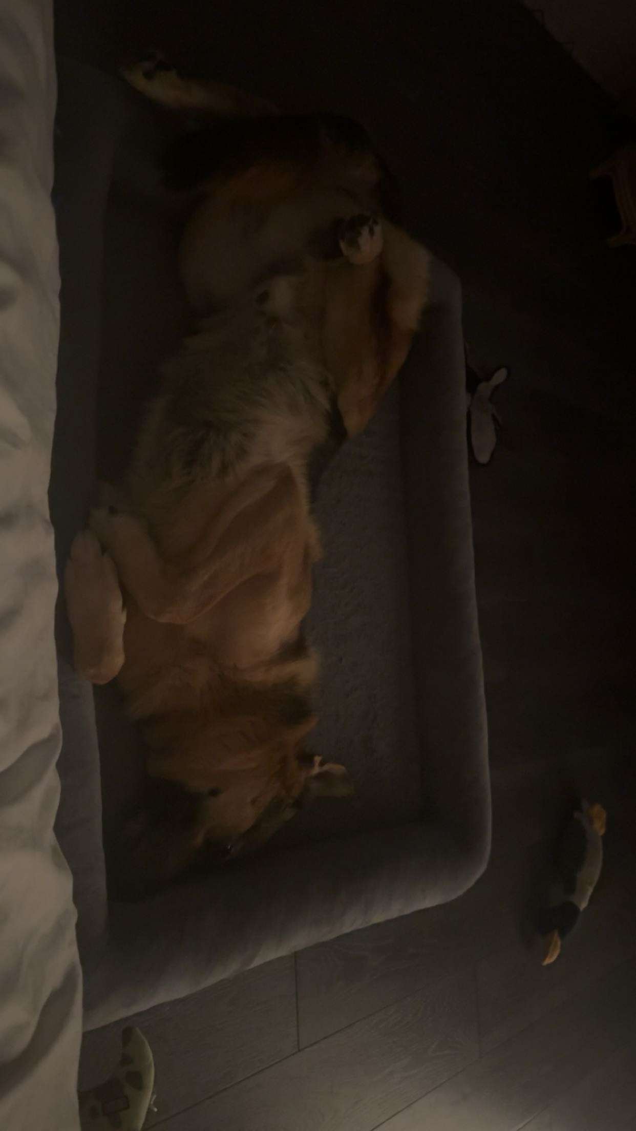 little.warren1 snapchat image archive image