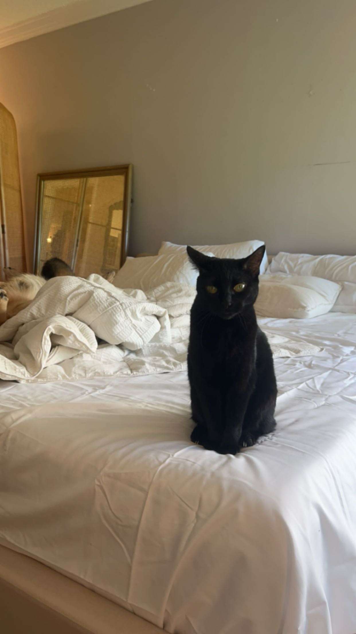 little.warren1 snapchat image archive image