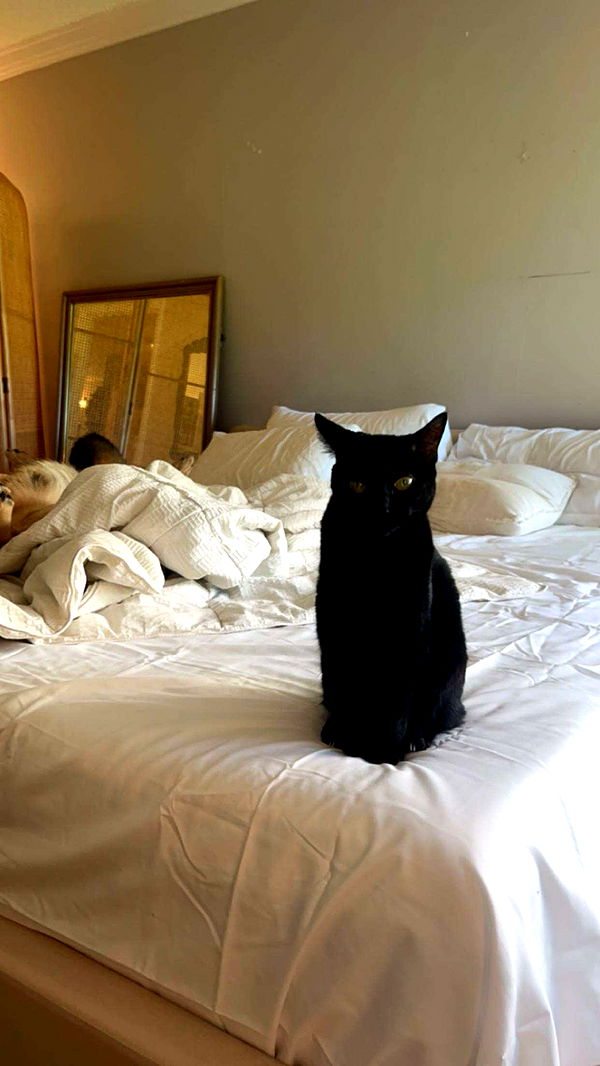 little.warren1 image ~ Altpins