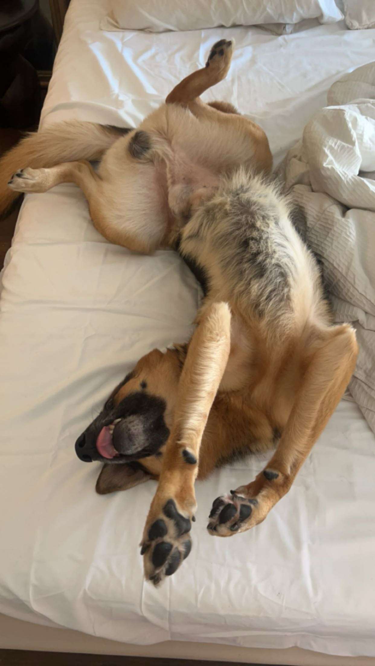 little.warren1 snapchat image archive image