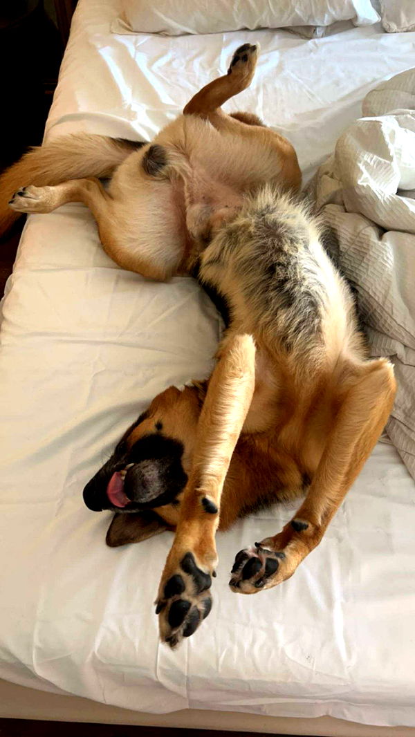 little.warren1 image ~ Altpins