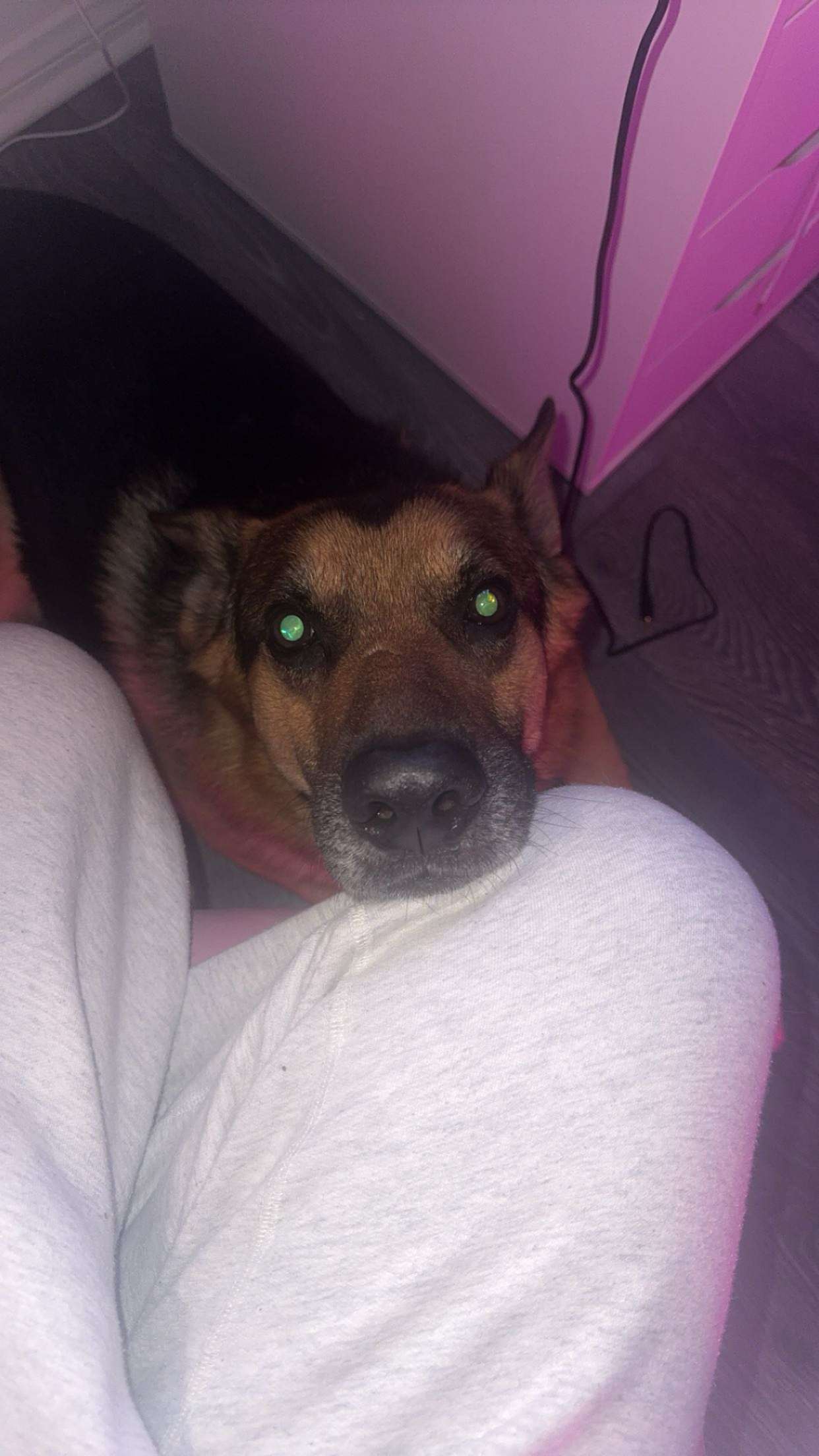 little.warren1 snapchat image archive image