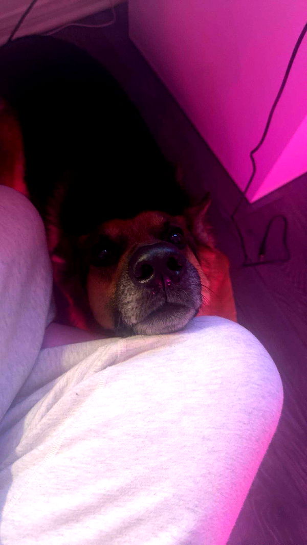 little.warren1 image ~ Altpins