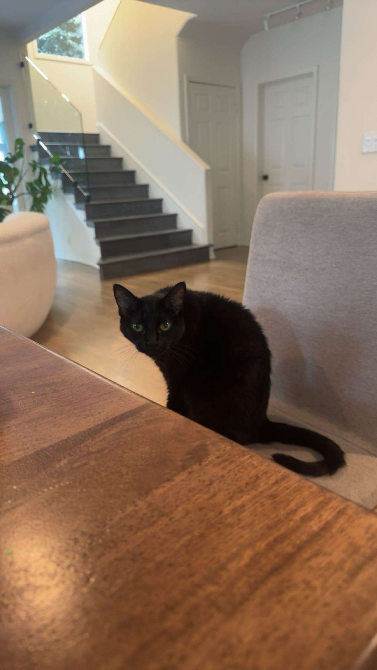 little.warren1 snapchat image archive image