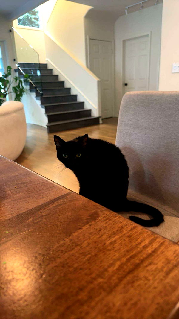 little.warren1 image ~ Altpins