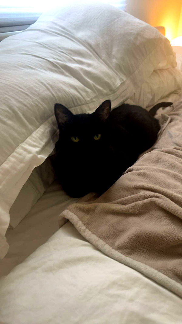 little.warren1 image ~ Altpins