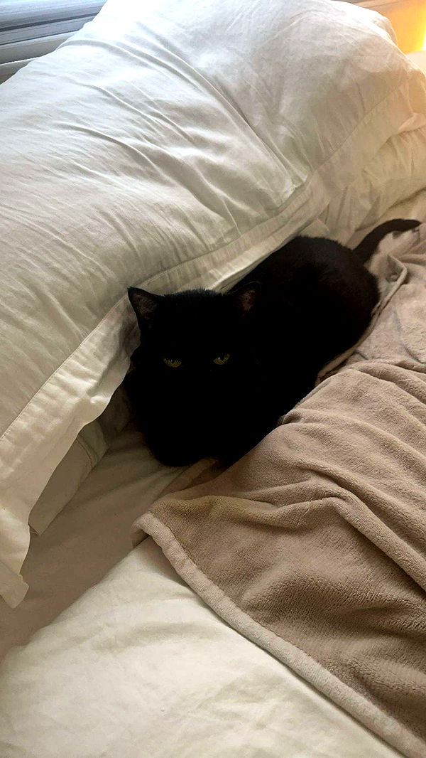 little.warren1 image ~ Altpins