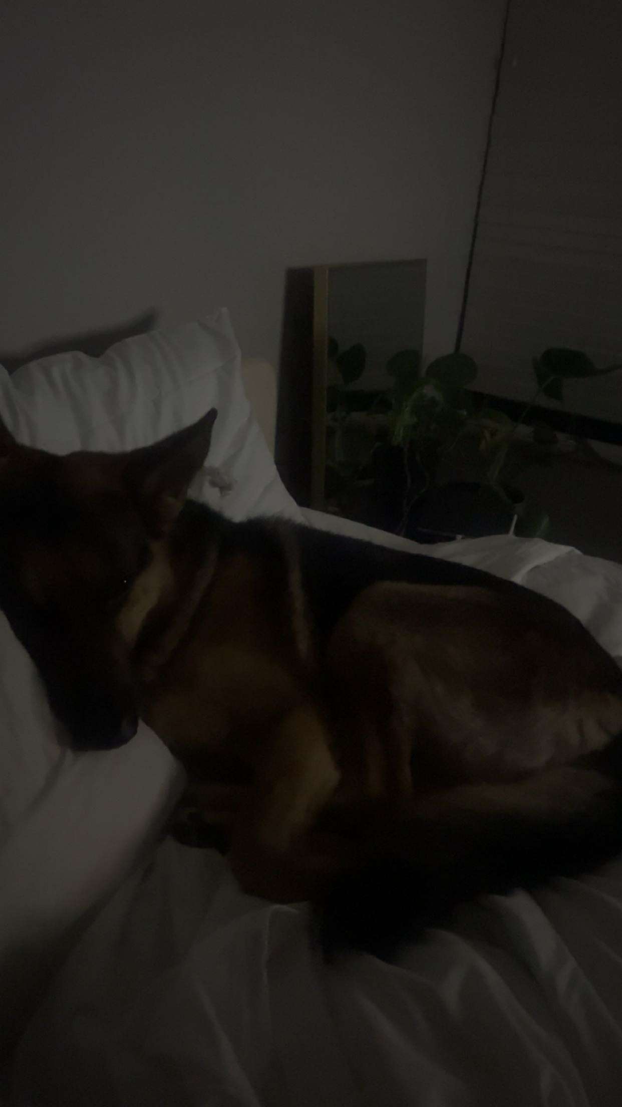 little.warren1 snapchat image archive image