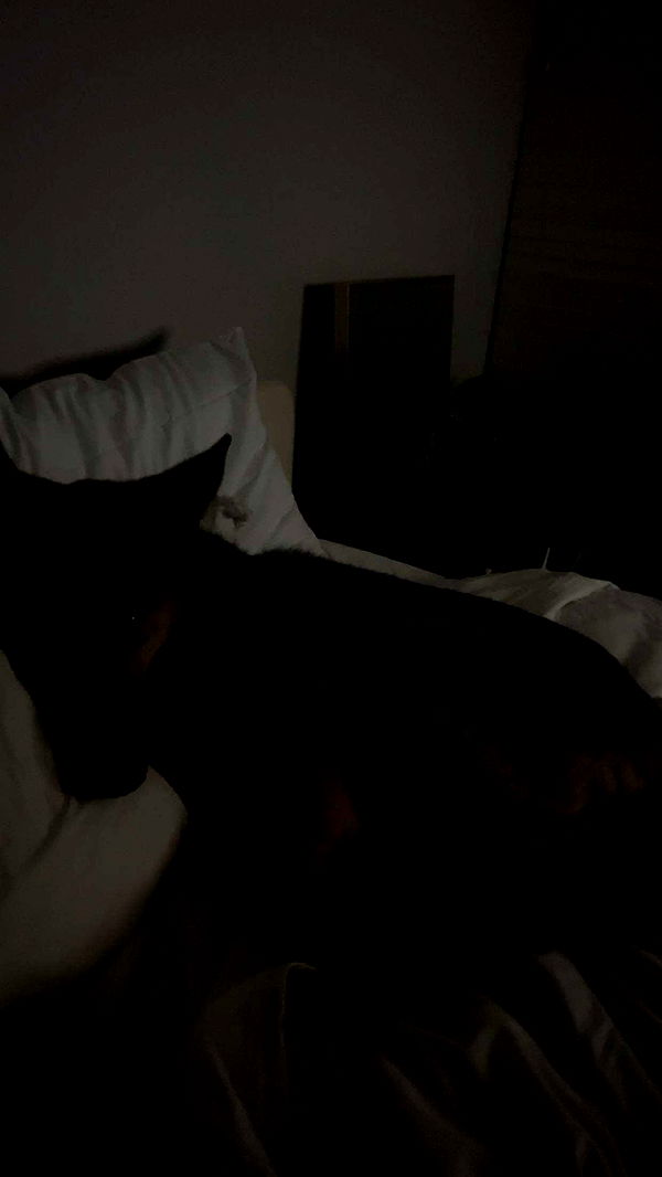 little.warren1 image ~ Altpins