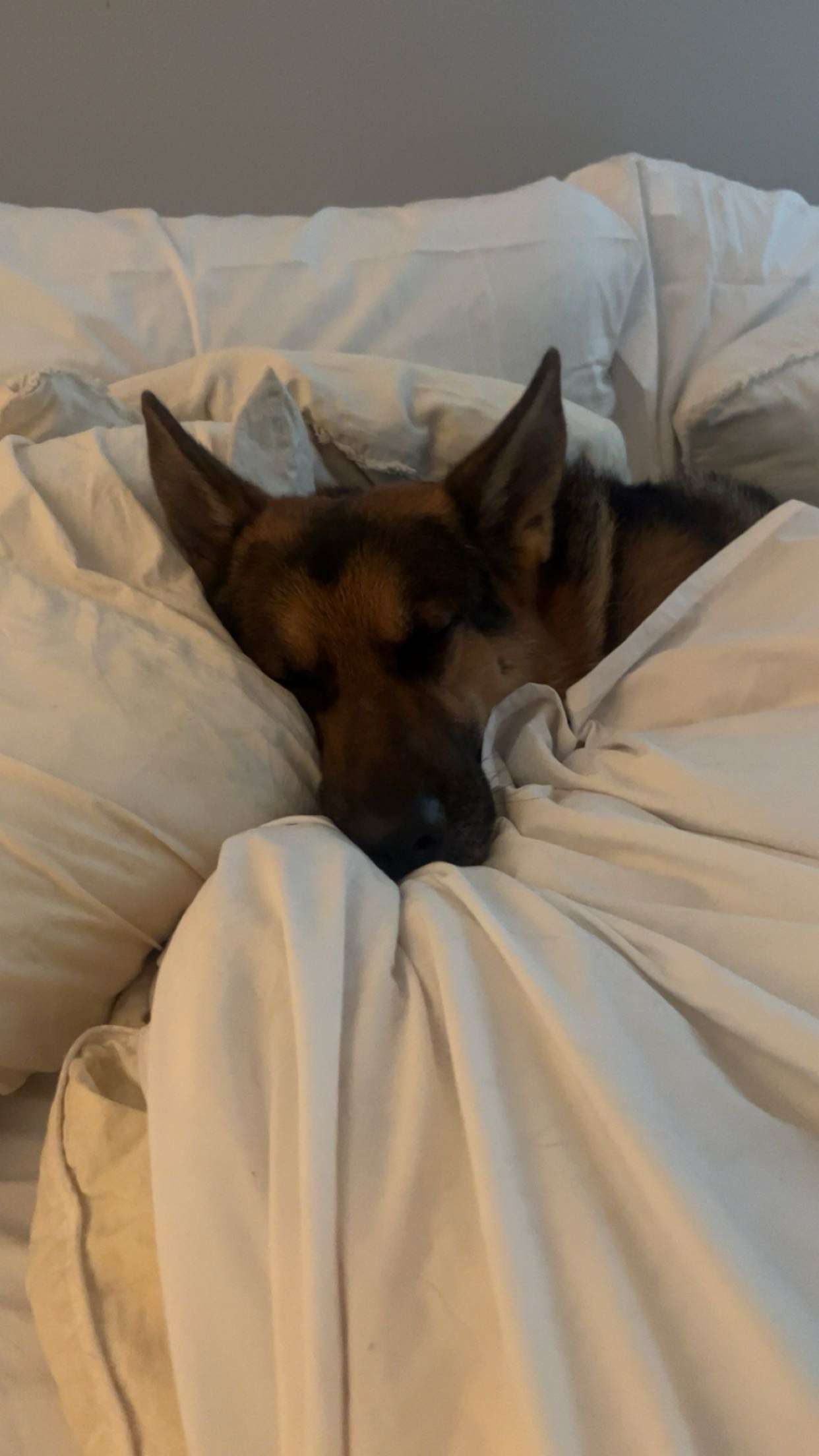 little.warren1 snapchat image archive image