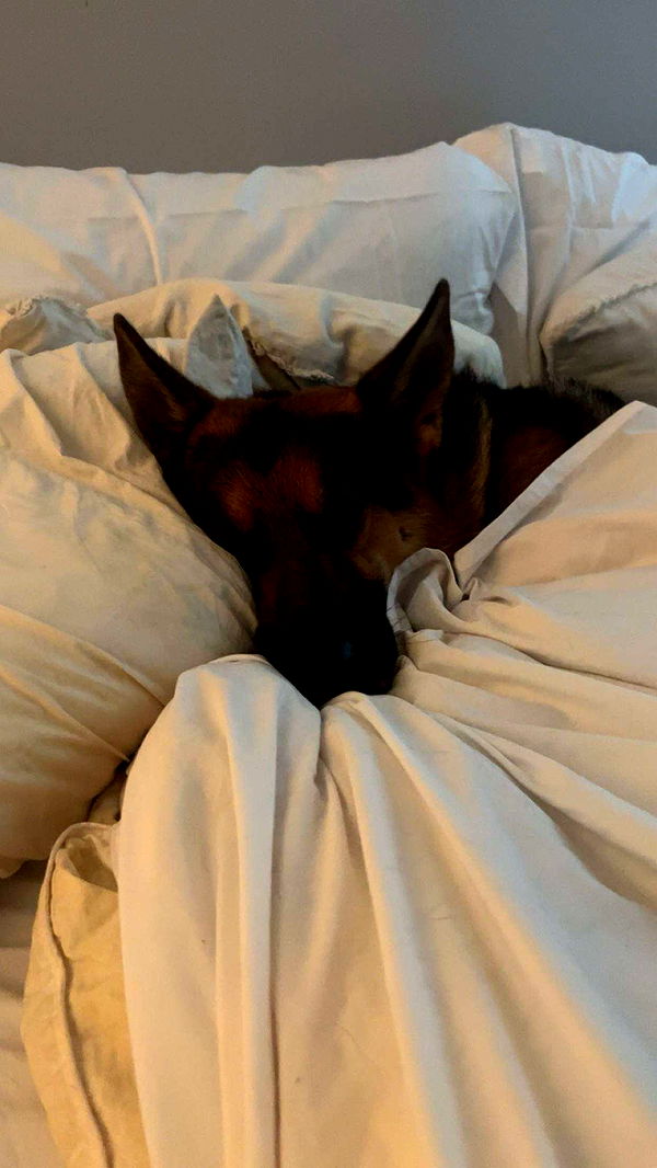 little.warren1 image ~ Altpins