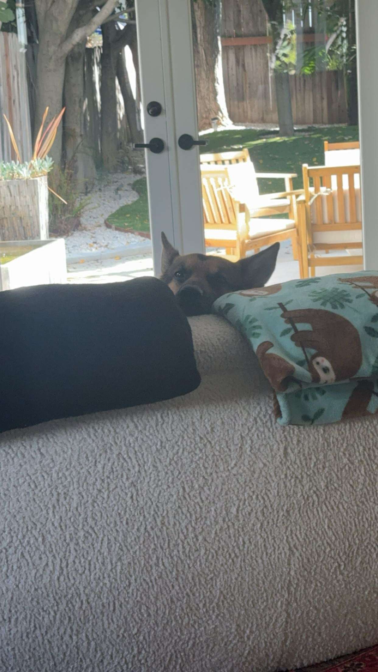 little.warren1 snapchat image archive image