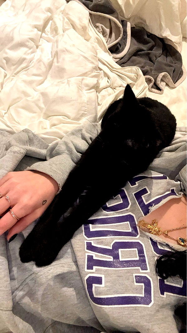 little.warren1 image ~ Altpins