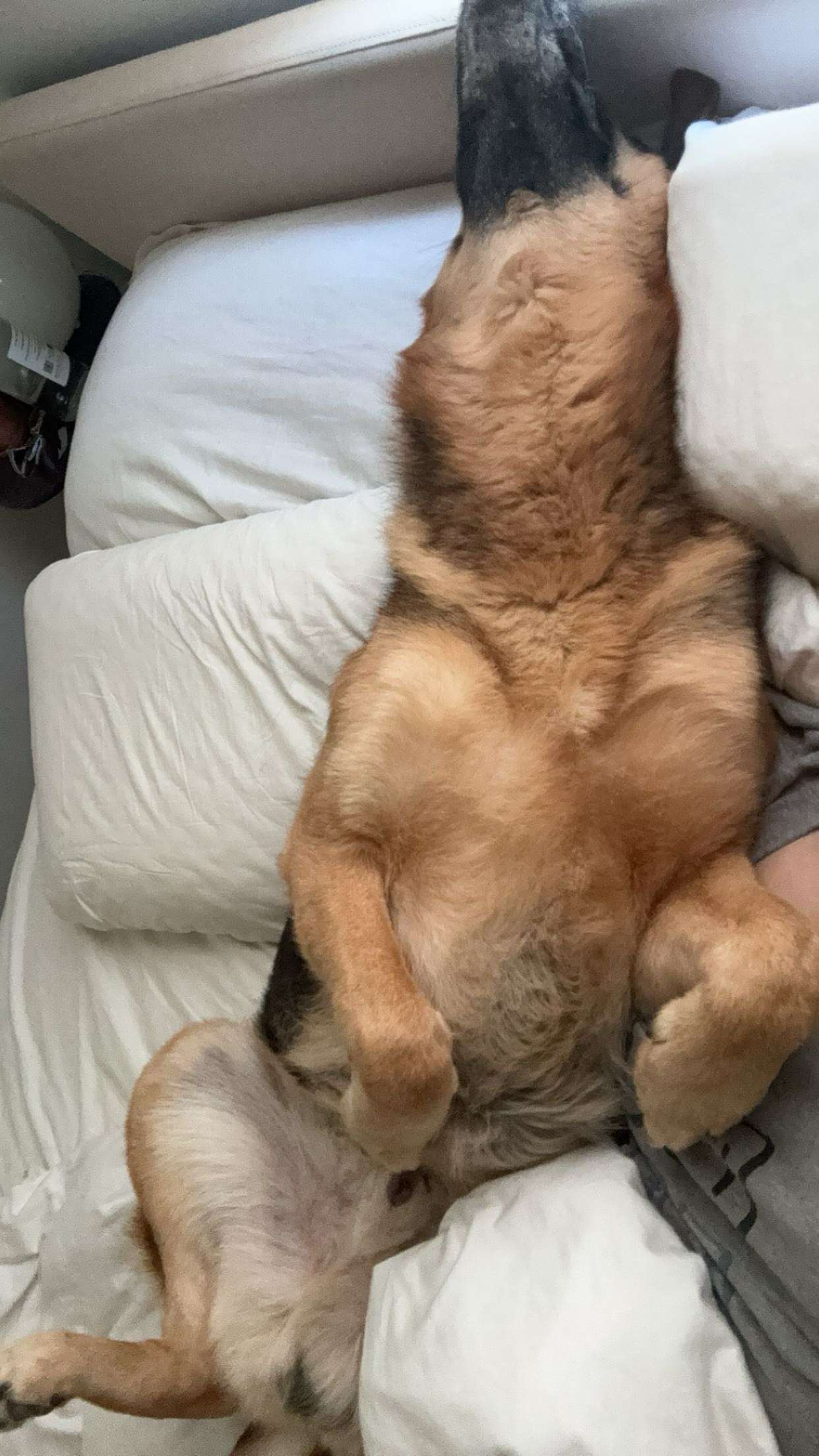 little.warren1 snapchat image archive image