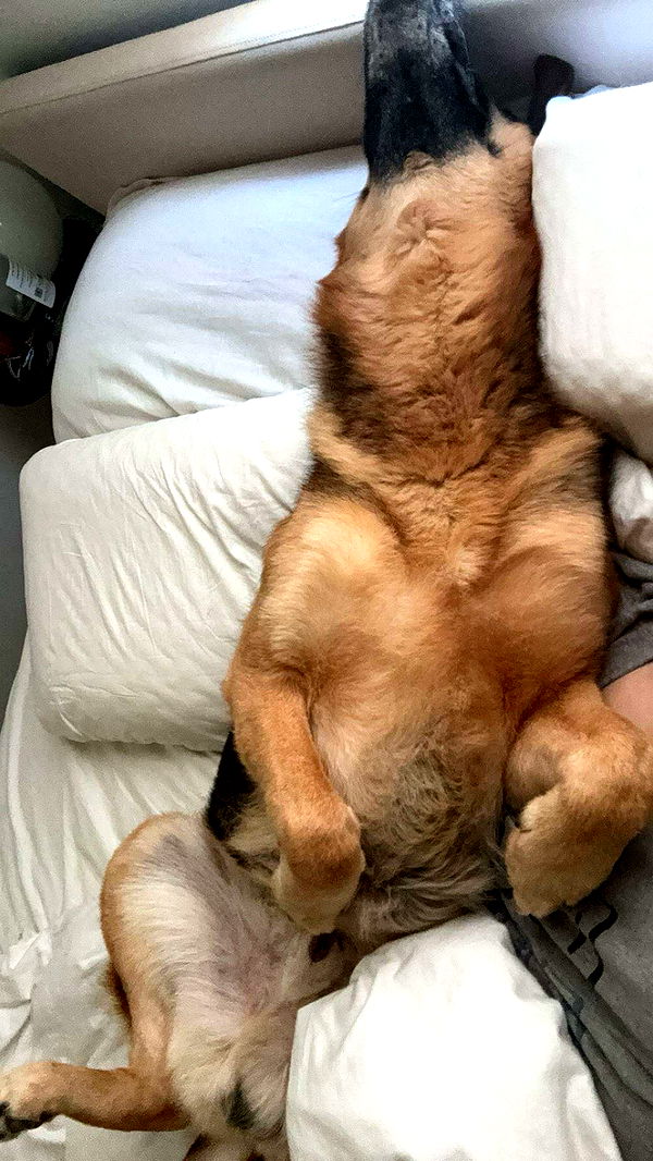 little.warren1 image ~ Altpins