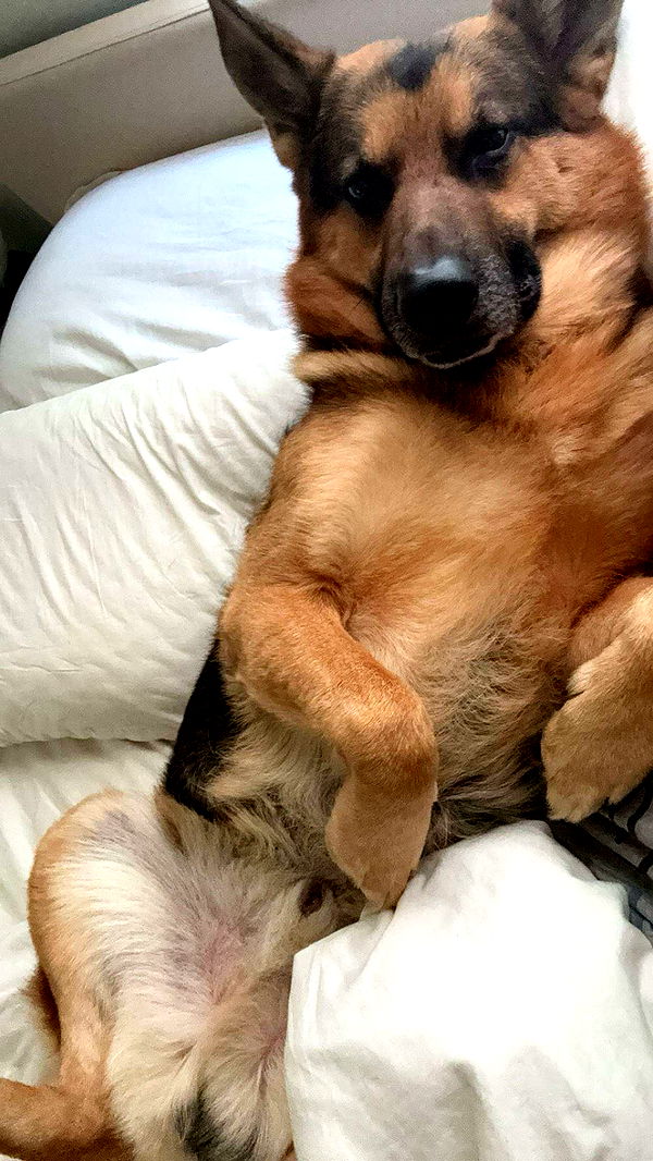 little.warren1 image ~ Altpins