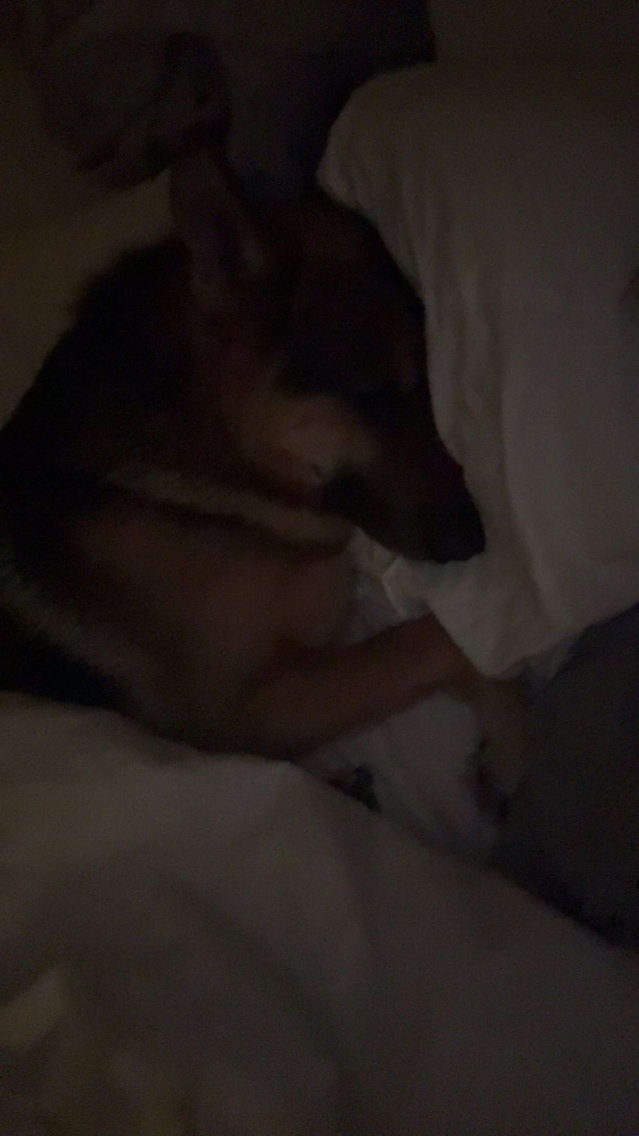 little.warren1 snapchat image archive image