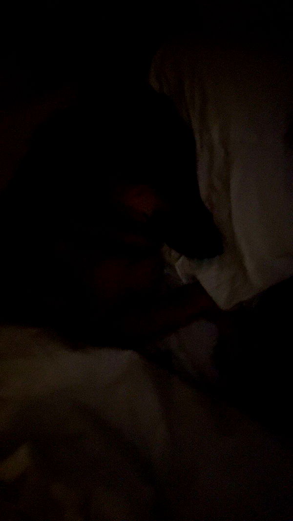 little.warren1 image ~ Altpins