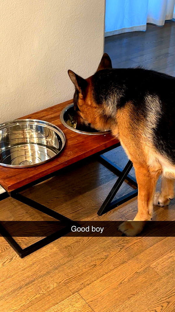 little.warren1 image ~ Altpins