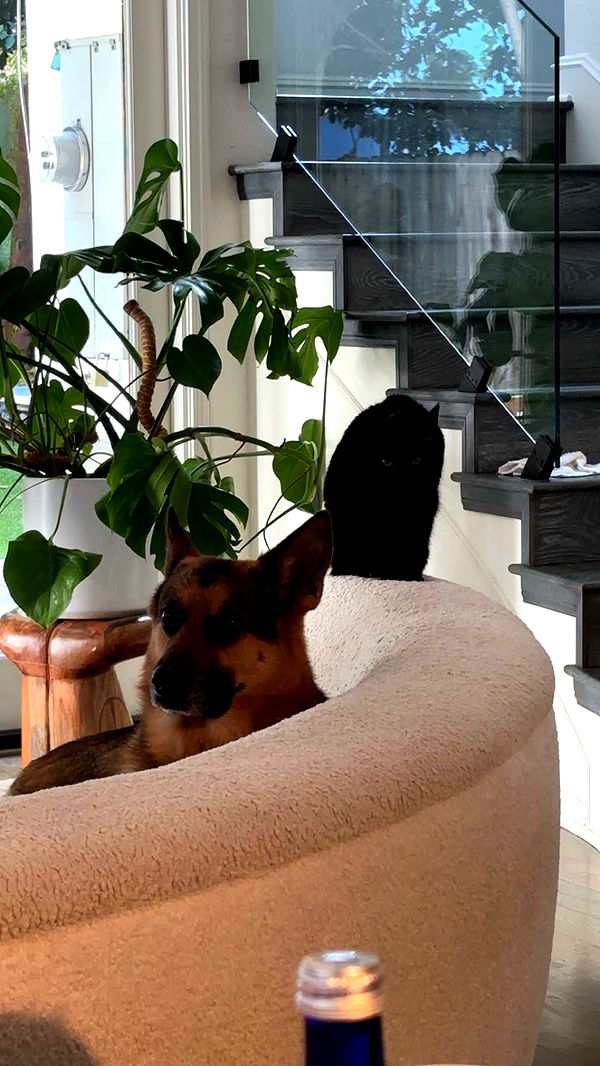 little.warren1 image ~ Altpins