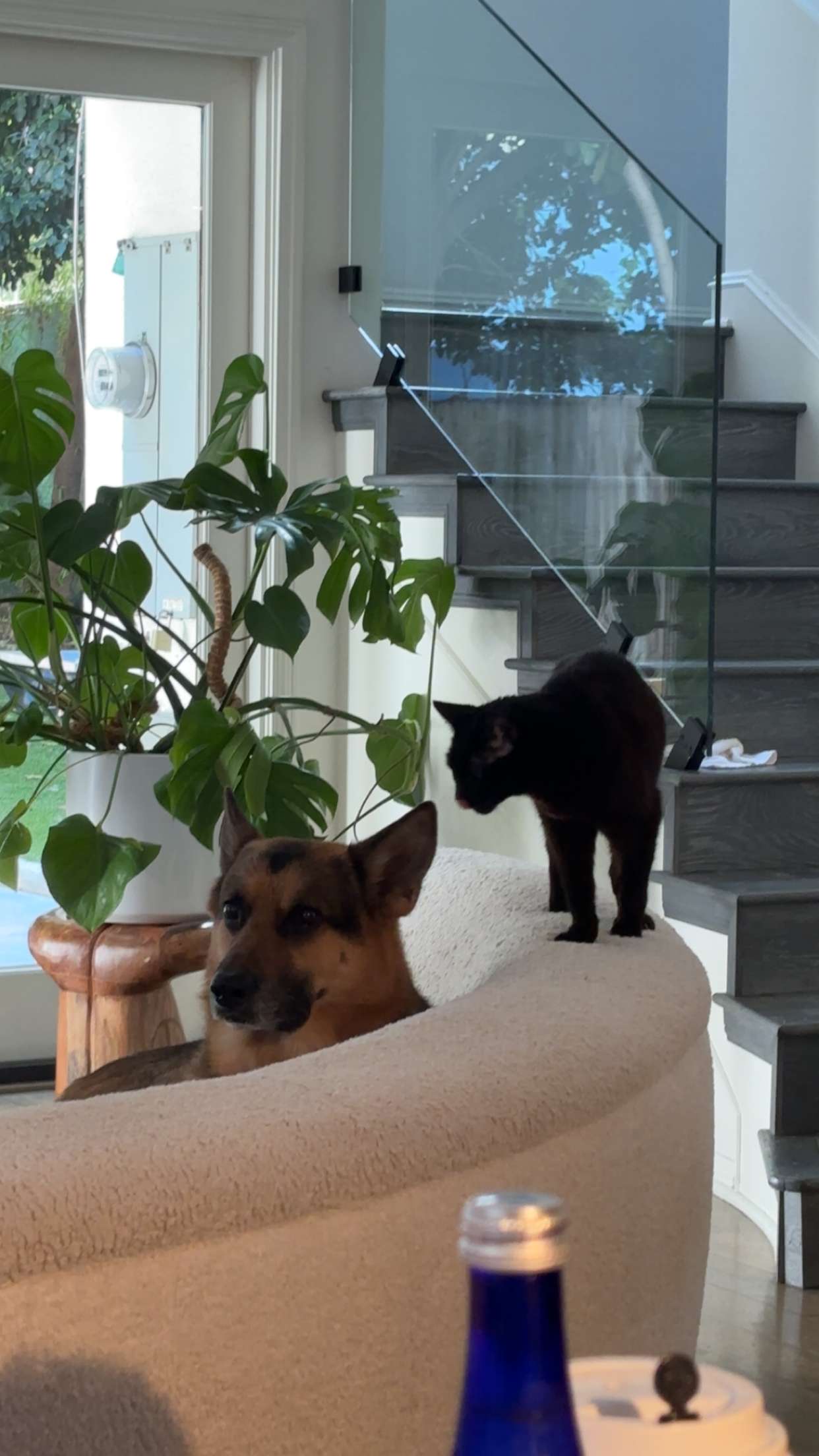 little.warren1 snapchat image archive image