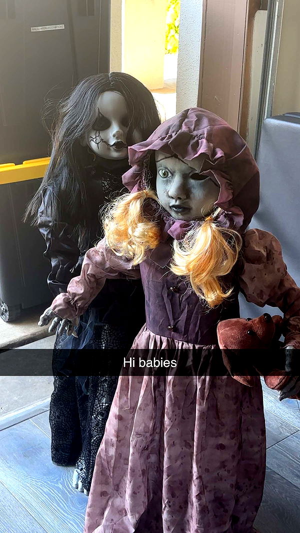 little.warren1 image ~ Altpins