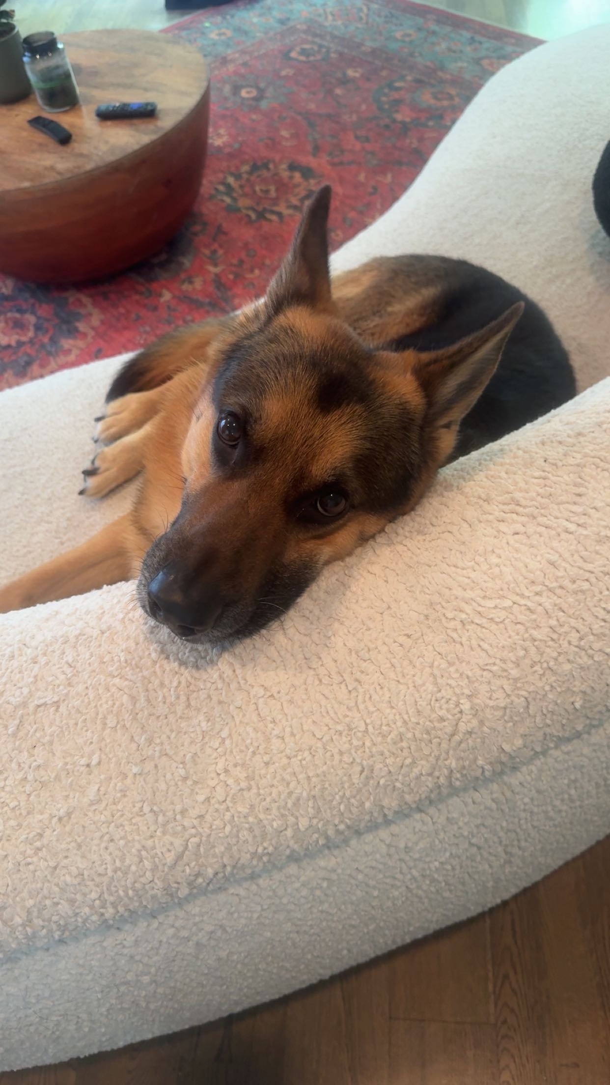 little.warren1 snapchat image archive image