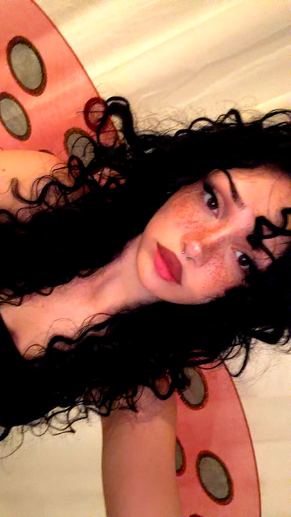 little.warren1 image ~ Altpins