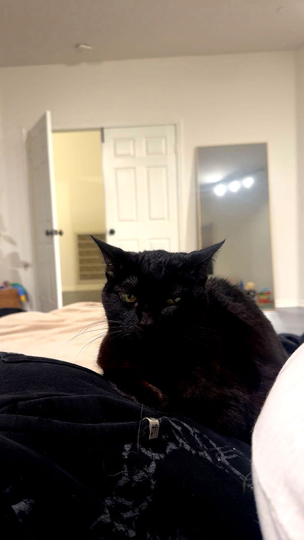 little.warren1 image ~ Altpins