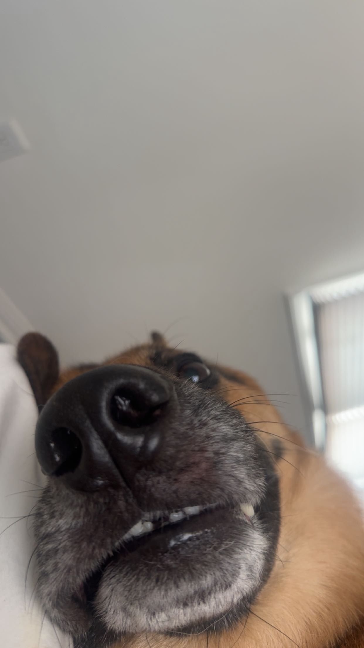 little.warren1 snapchat image archive image