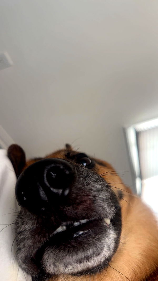 little.warren1 image ~ Altpins