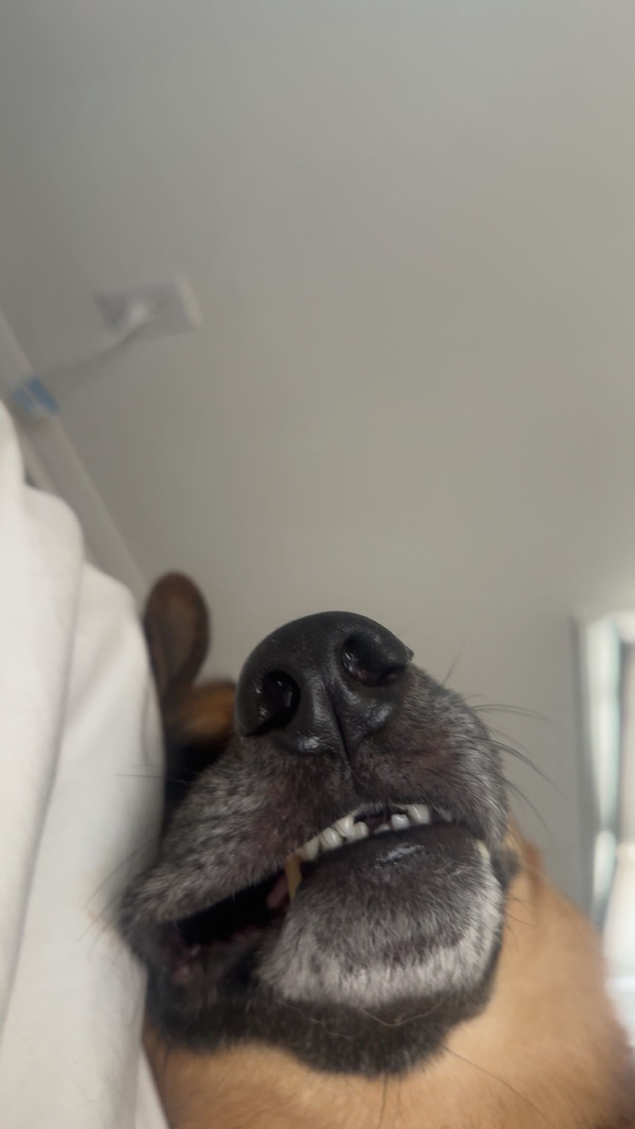 little.warren1 snapchat image archive image