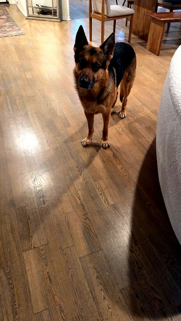 little.warren1 image ~ Altpins