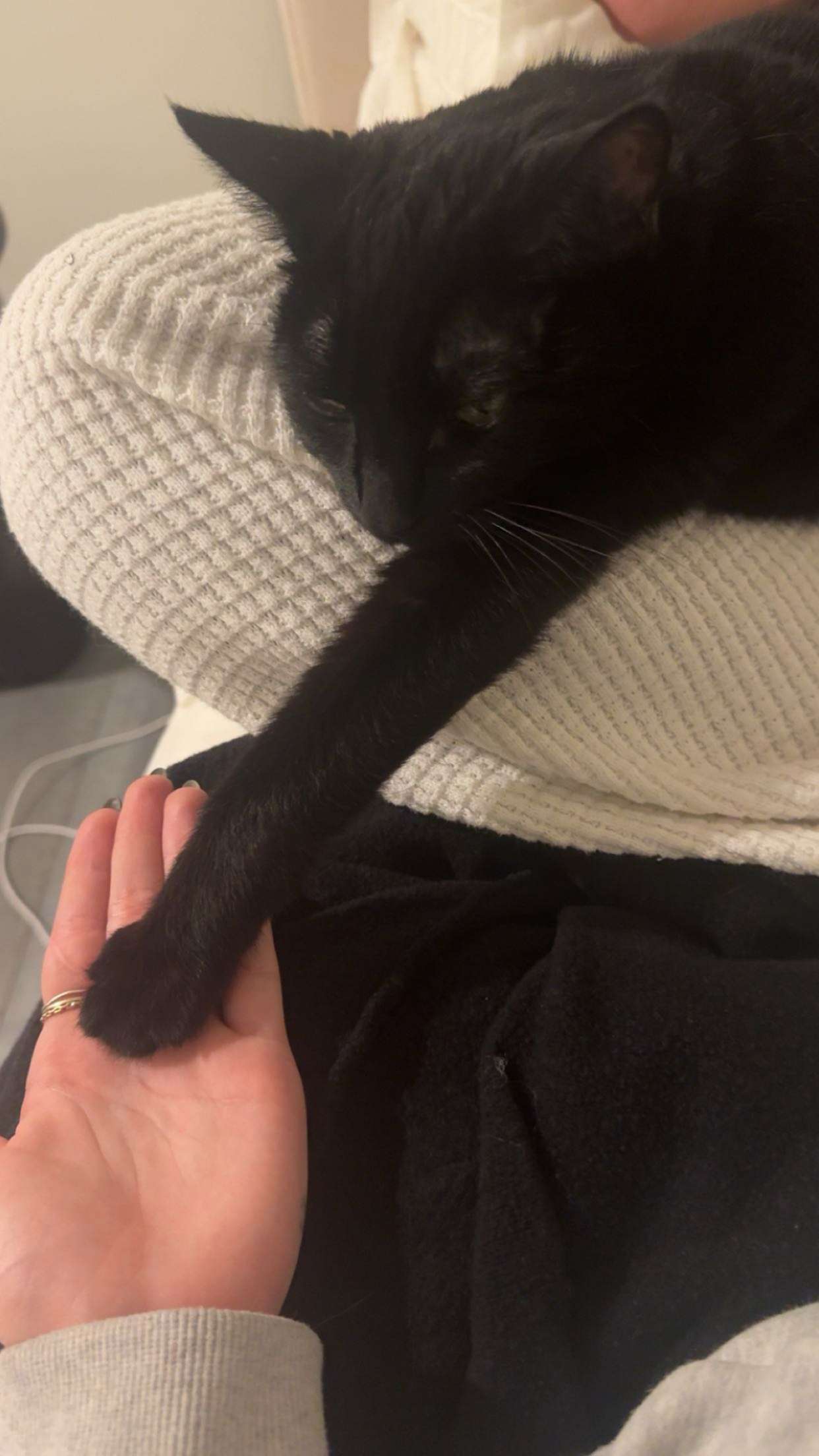 little.warren1 snapchat image archive image