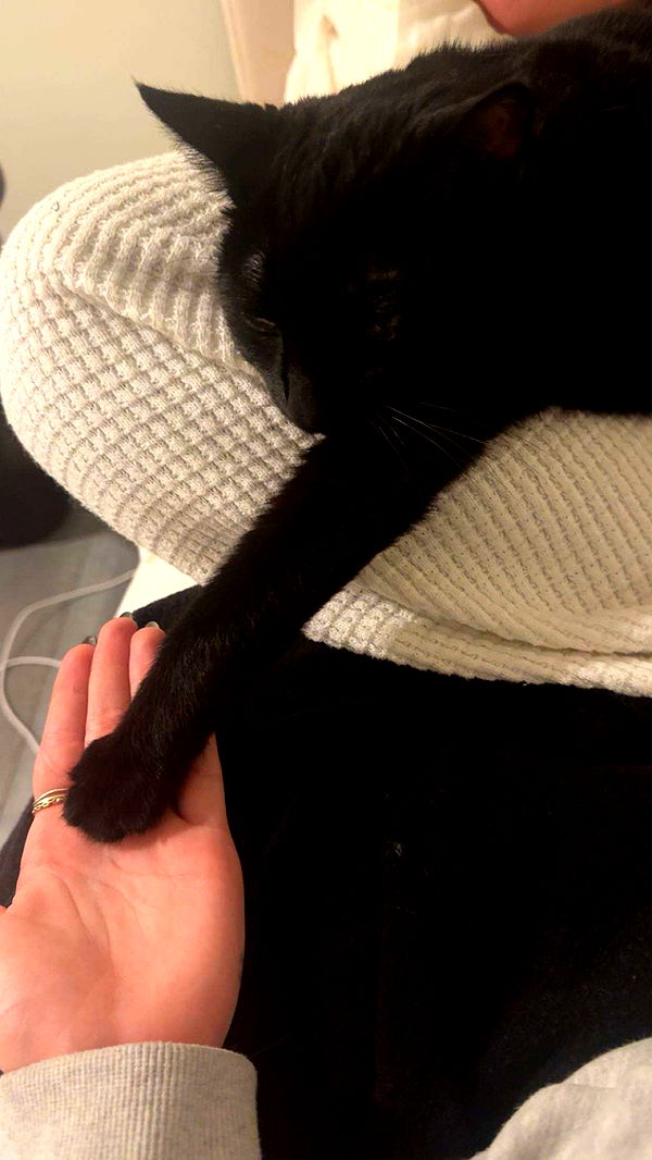 little.warren1 image ~ Altpins