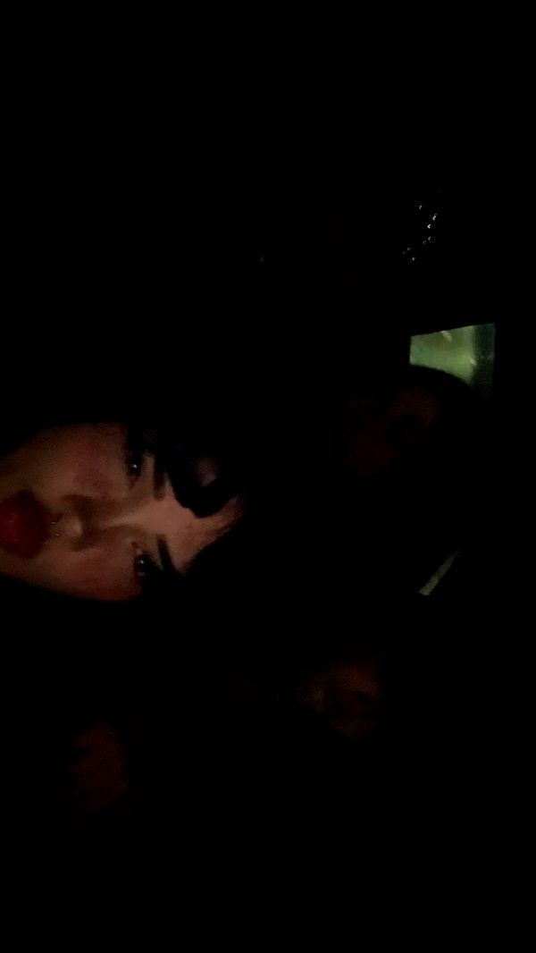 little.warren1 image ~ Altpins