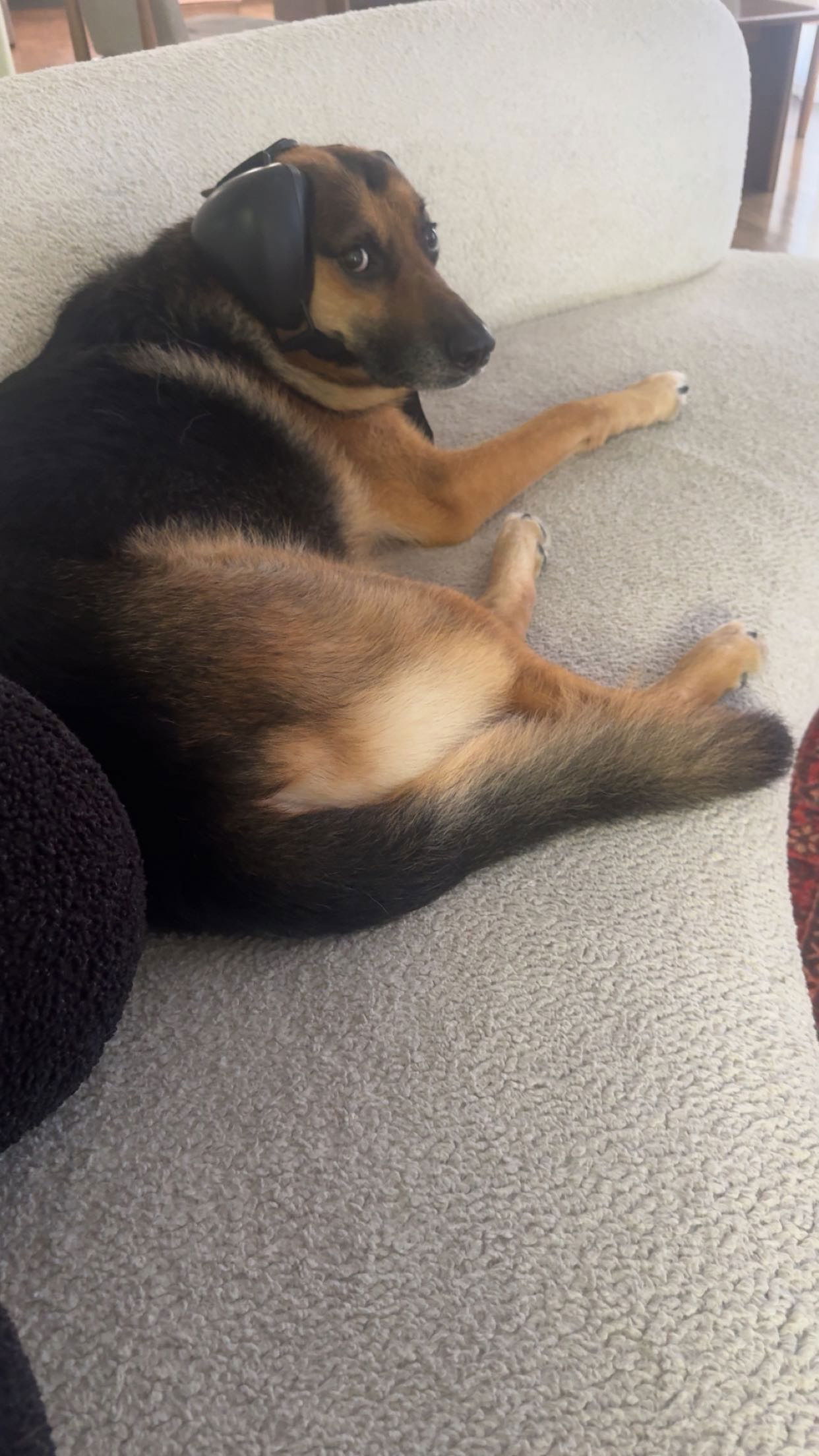 little.warren1 snapchat image archive image