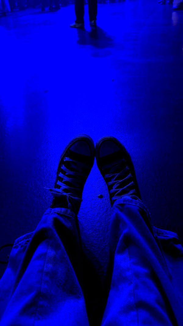 little.warren1 image ~ Altpins