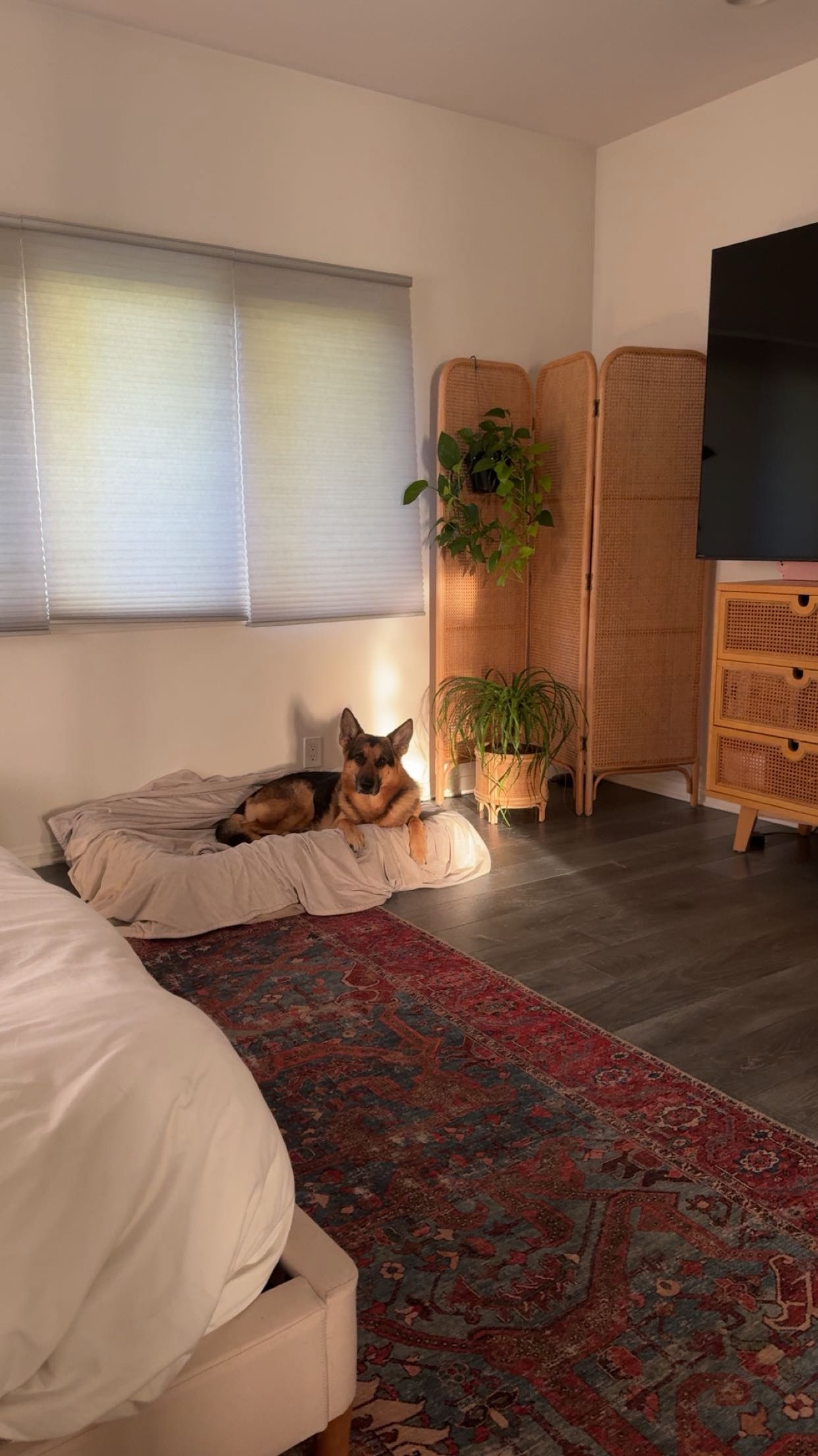 little.warren1 snapchat image archive image