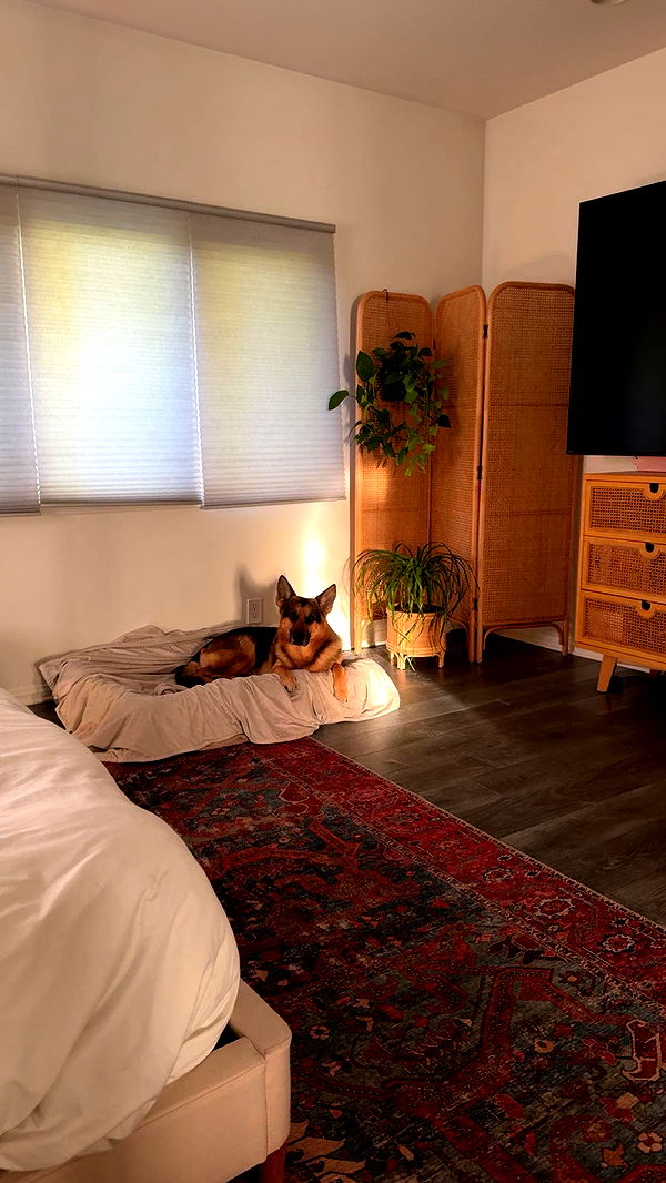 little.warren1 image ~ Altpins