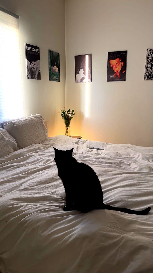 little.warren1 image ~ Altpins